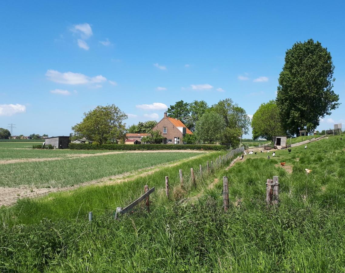דירות Lewedorp “In Oans Oefje” Parel In De Polder! מראה חיצוני תמונה