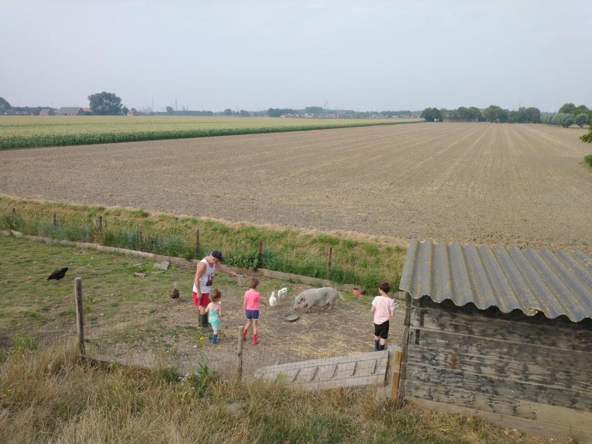 דירות Lewedorp “In Oans Oefje” Parel In De Polder! מראה חיצוני תמונה