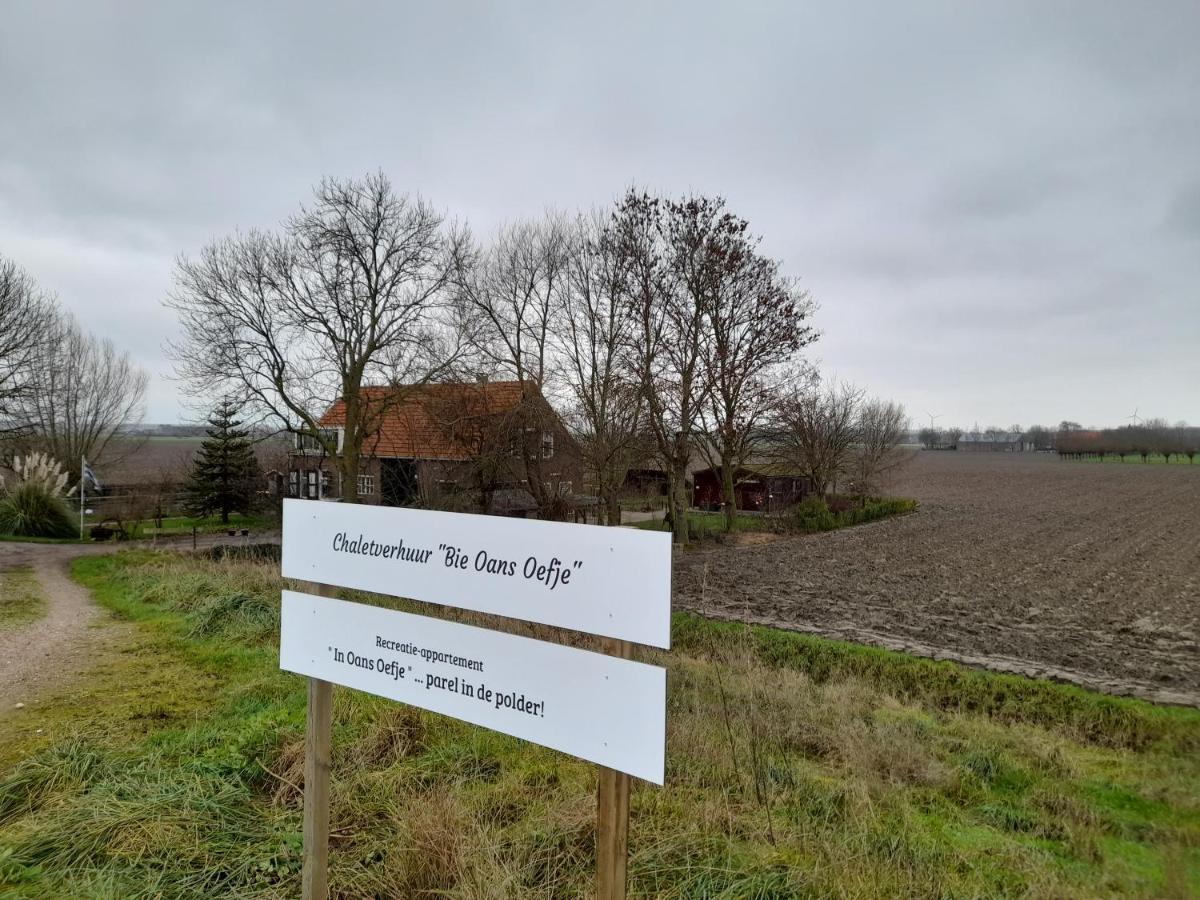 דירות Lewedorp “In Oans Oefje” Parel In De Polder! מראה חיצוני תמונה