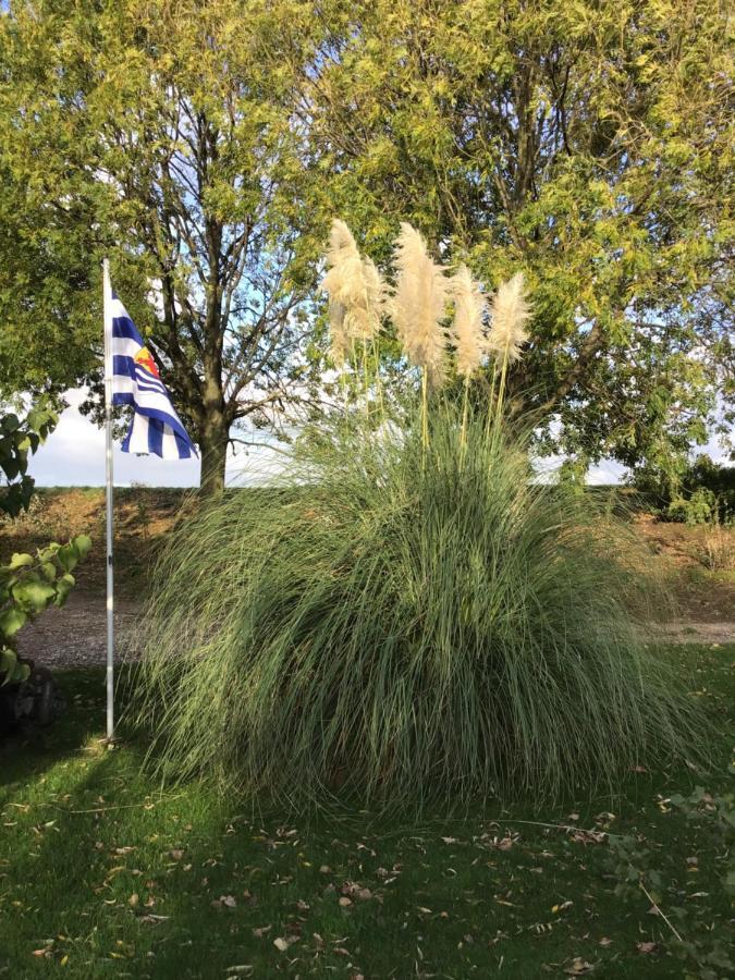 דירות Lewedorp “In Oans Oefje” Parel In De Polder! מראה חיצוני תמונה