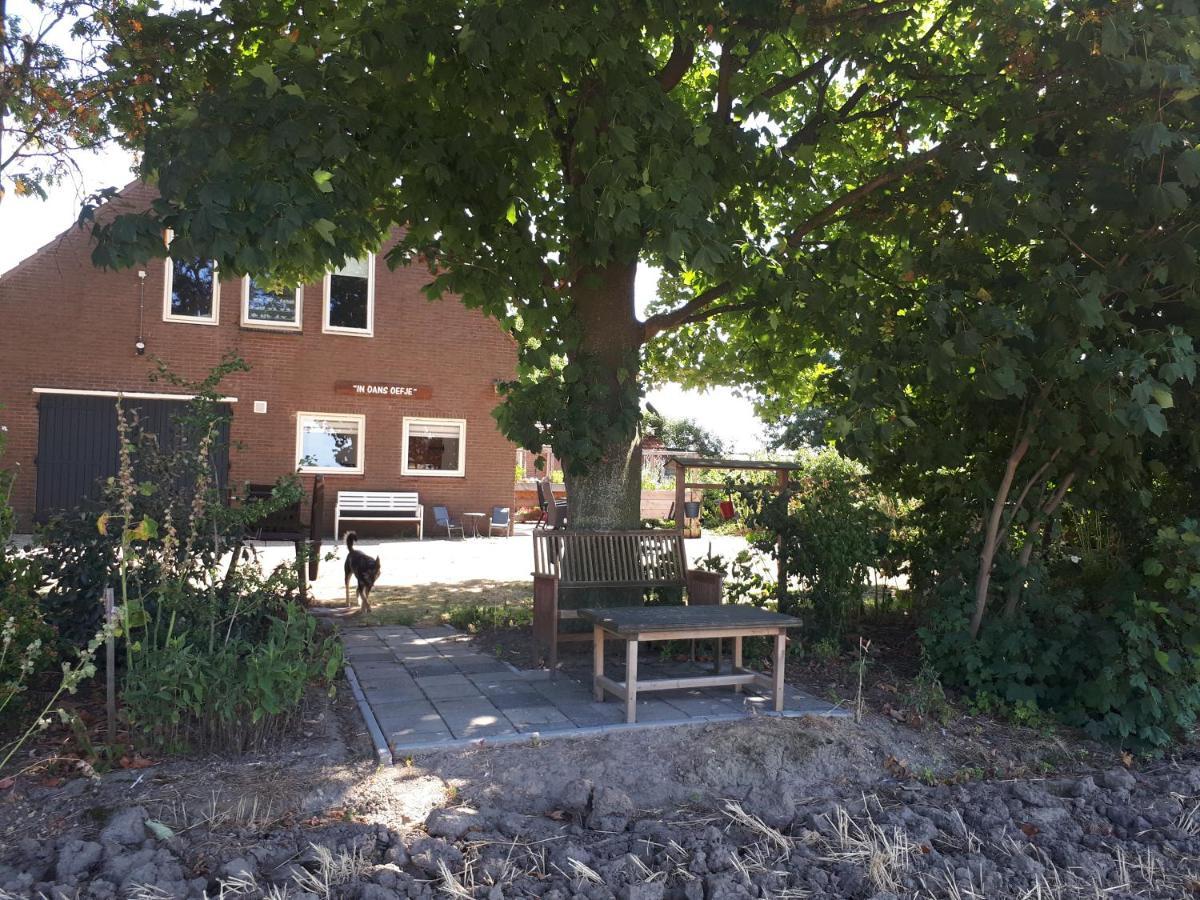 דירות Lewedorp “In Oans Oefje” Parel In De Polder! מראה חיצוני תמונה